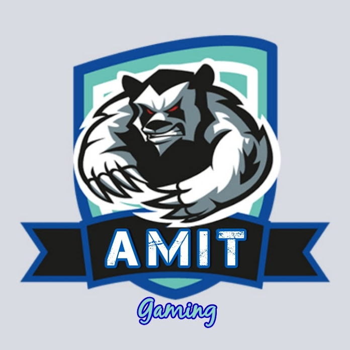 AMIT GAMING Net Worth & Earnings (2024)