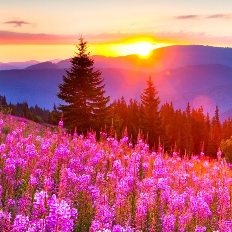 Travel Japan - YouTube