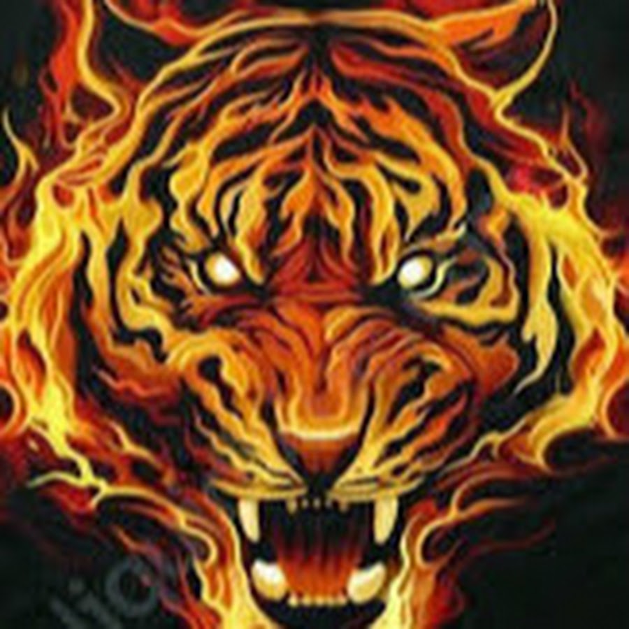 Fire tiger матричный проект