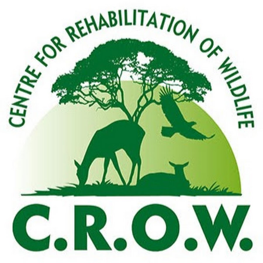 CROW Centre for Rehabilitation of Wildlife YouTube
