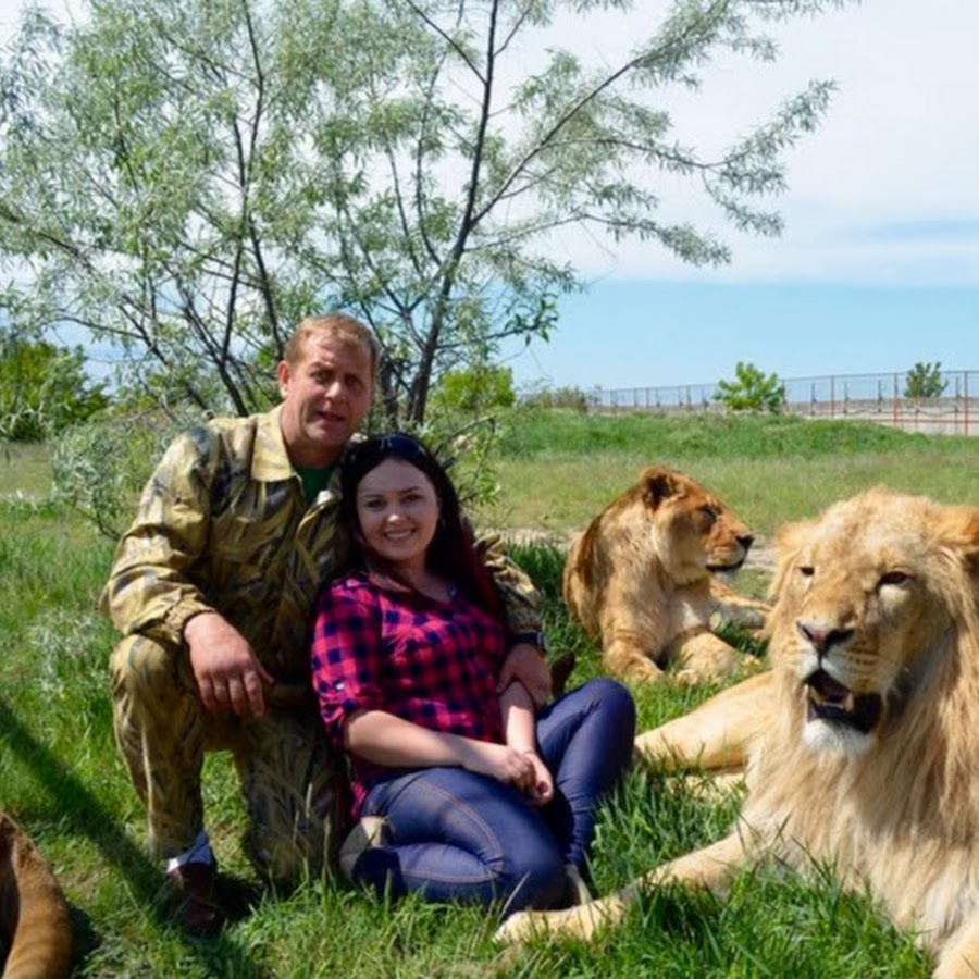 парк зубкова львов. тайган и мы ютуб. сафари парк олега зубкова тайган. тайган и мы ютуб. олег зубков парк львов тайган.