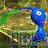 HomicidalBluePikmin avatar