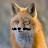 Esquire Fox avatar