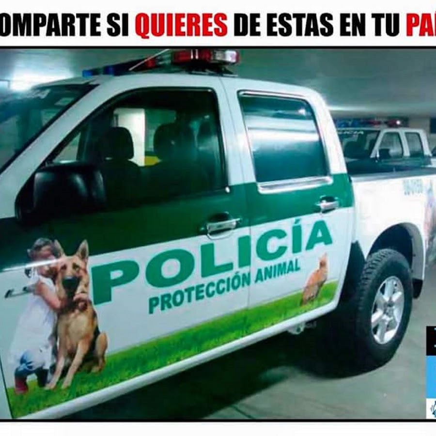 Шлейка police k9. Военный кинолог. Агент по защите животных. Добрый полицейский. K9 unit police.