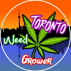 Toronto Weed Grower