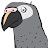 YoloMoFo Production avatar