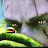 JAG - the Trekkie - GEMINI avatar