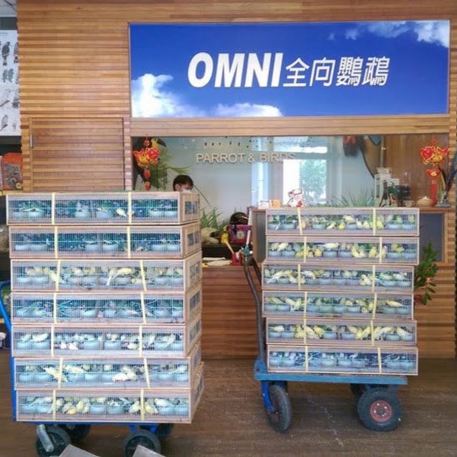 omni parrot 