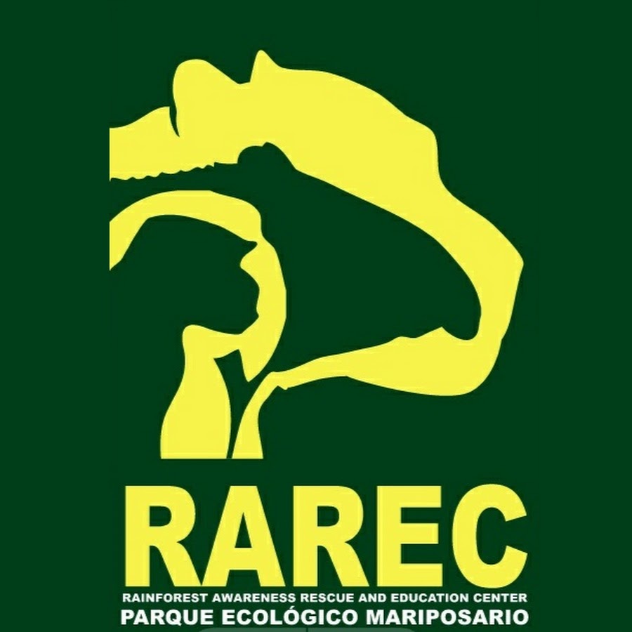 RAREC Rainforest Awareness Rescue Education Center 