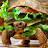 Resident Hamburge avatar