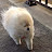 민드