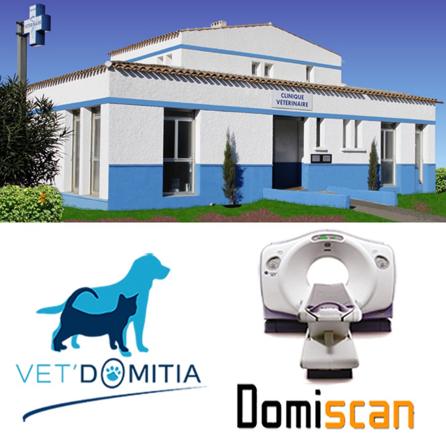 Clinique Vétérinaire Domitia, Béziers - YouTube