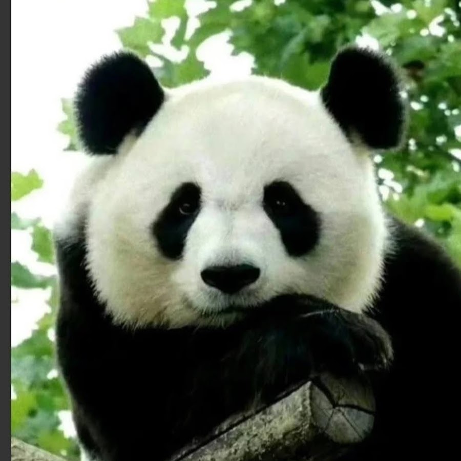 Hyesoo Choi - YouTube