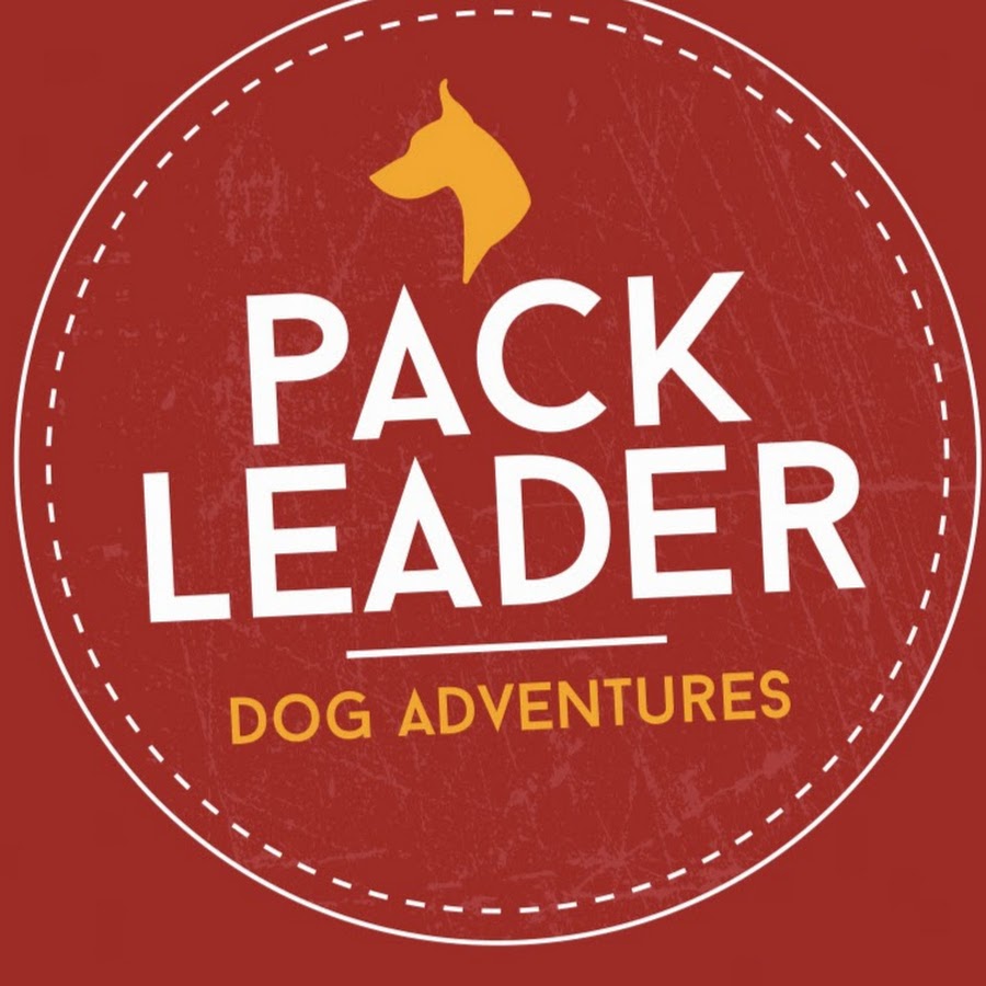 Pack Leader Dog Adventure Store YouTube
