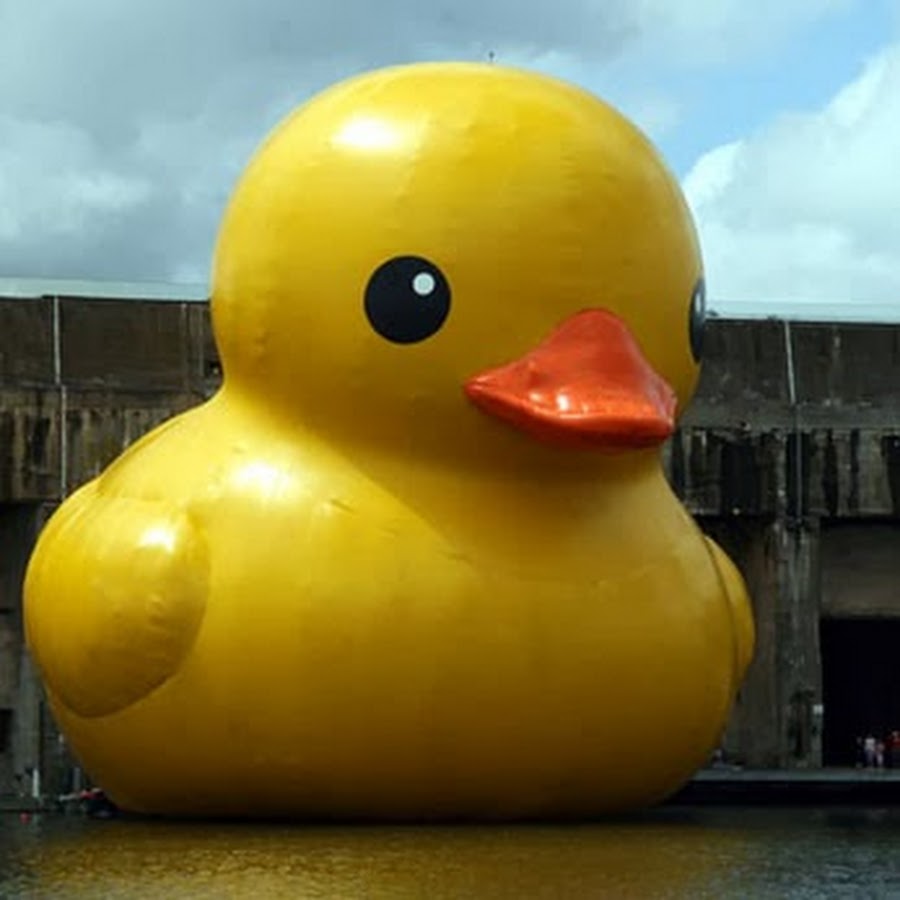 ducky tie buy