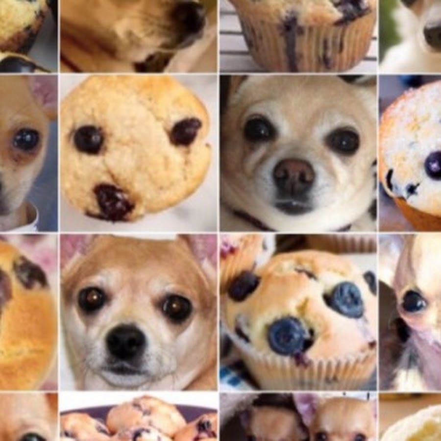 dog cookie YouTube