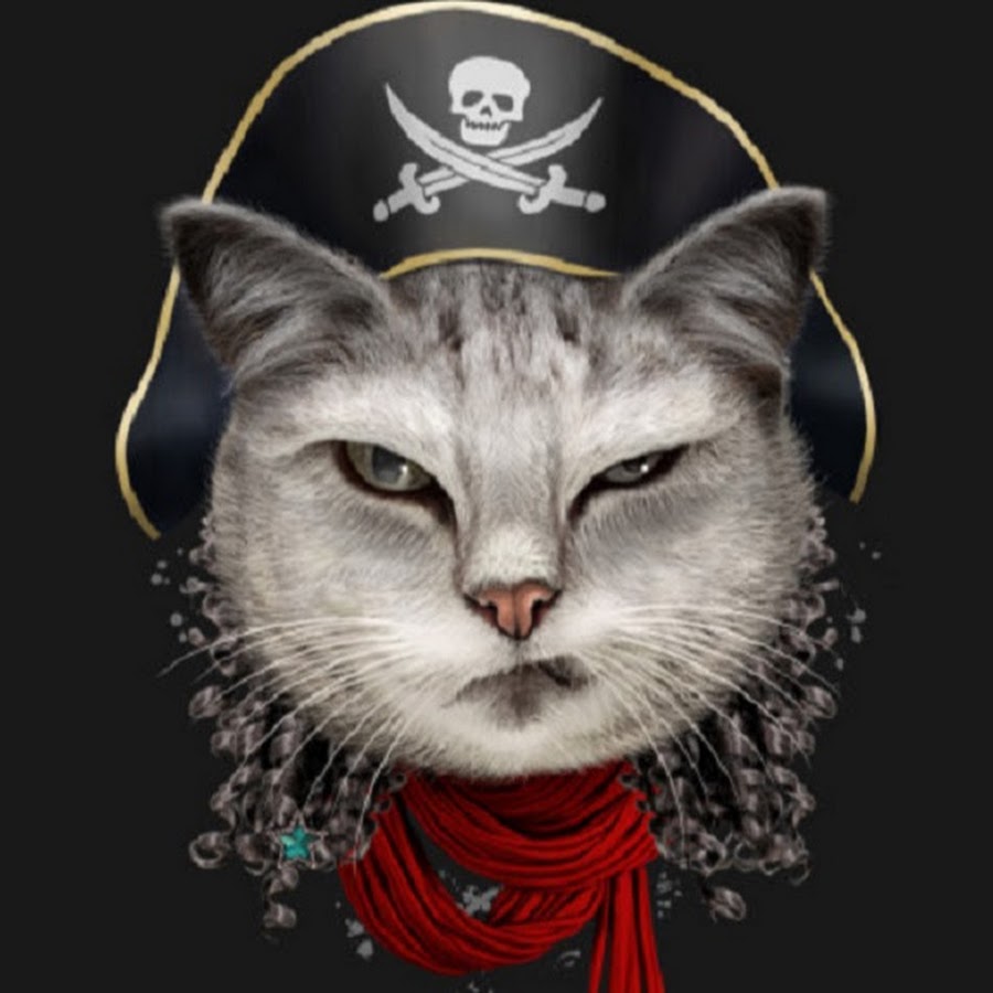 Коты пираты. Боевой кот. Гоблин разбойник днд. Футболка разбойника. Кот пират арт.