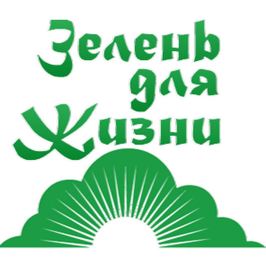 розмарин шалфей и эстрагон. книга зелень для жизни. Biology background. каналы зелень. зелень эстетика.