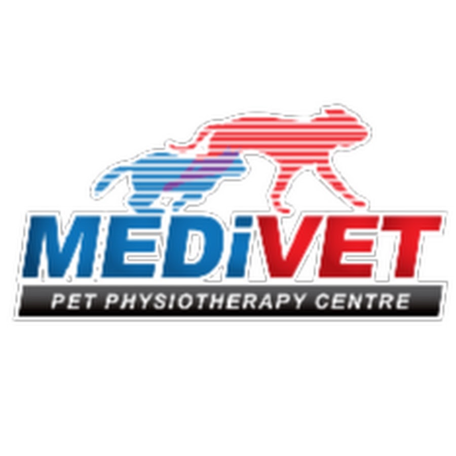 Medivet Pet Physiotherapy Centre YouTube