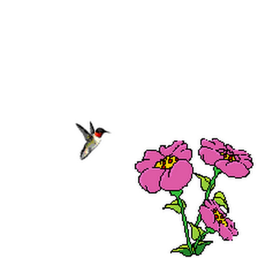 Гифки растений на презентацию