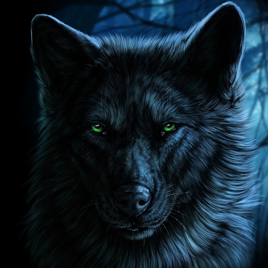 Dark wolf - YouTube