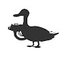 The Belligerent Duck