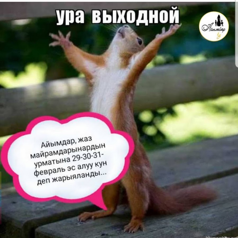 увидев ура выходной фото итоге народ