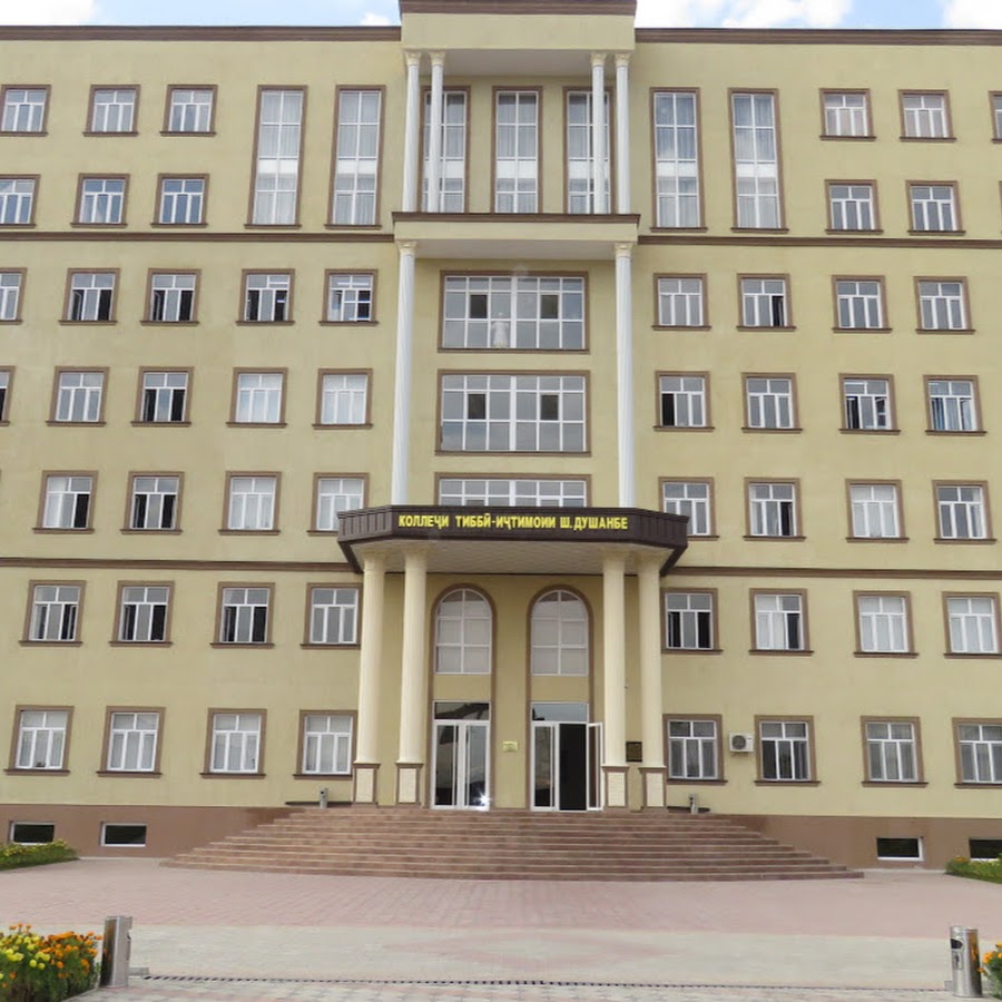 Таджикский институт