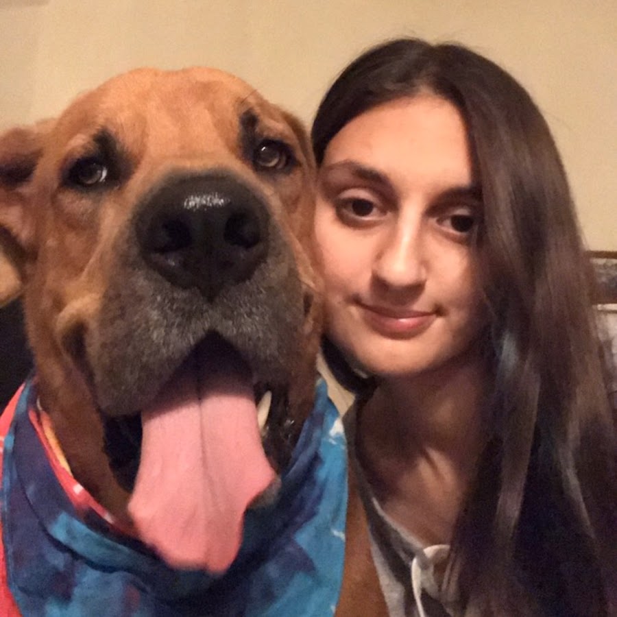 Pet Zombie - YouTube