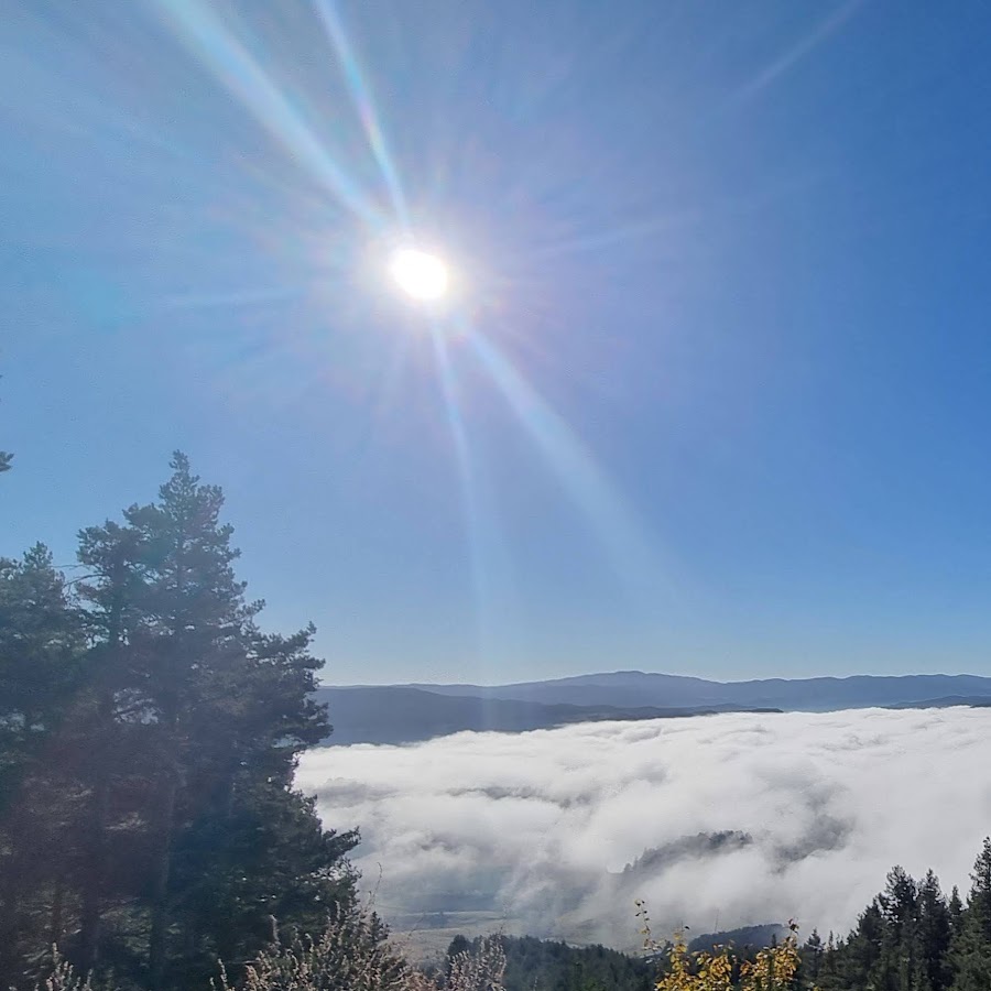 radostina tsoneva YouTube