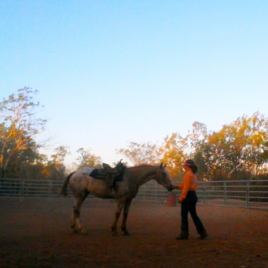 Warhorse Horsemanship - YouTube