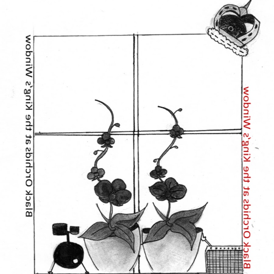 Black Orchids at the King's Window 