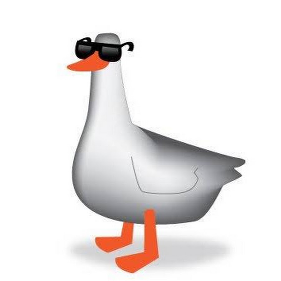 Рисунок гуся в очках