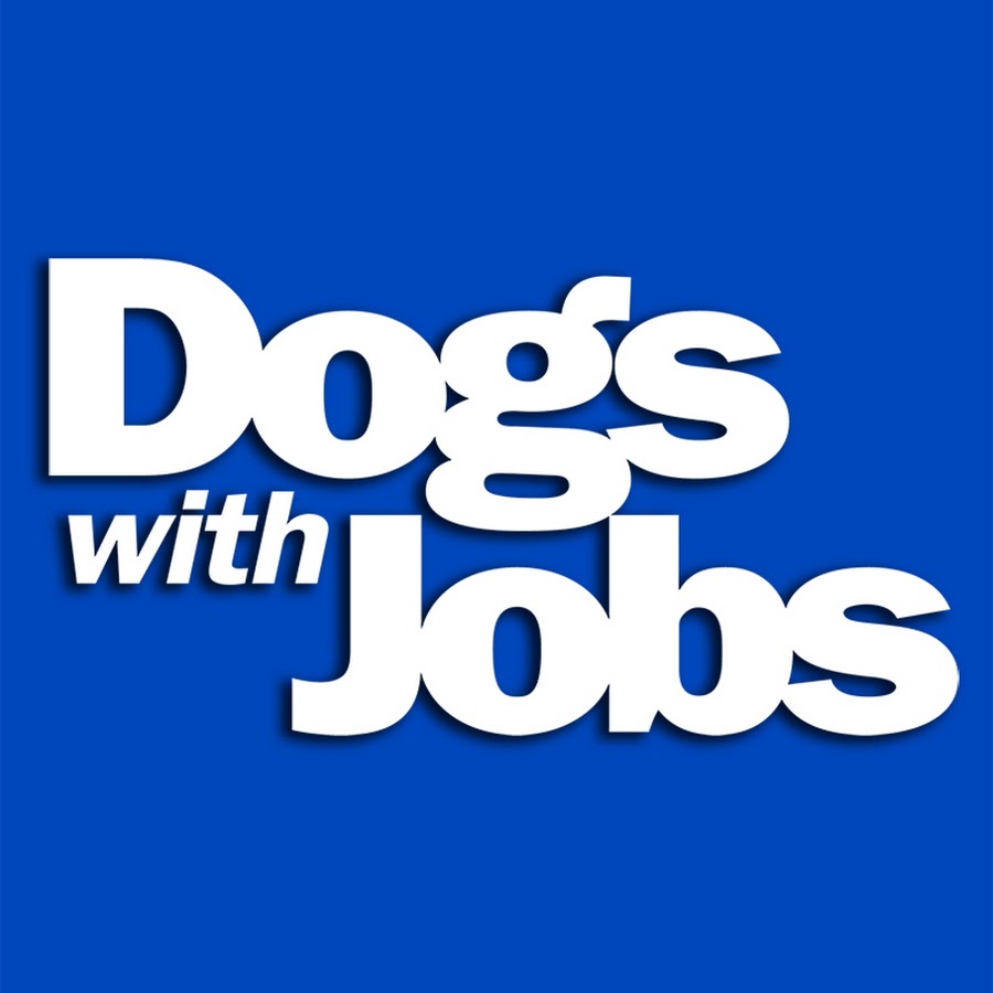 Dogs With Jobs YouTube