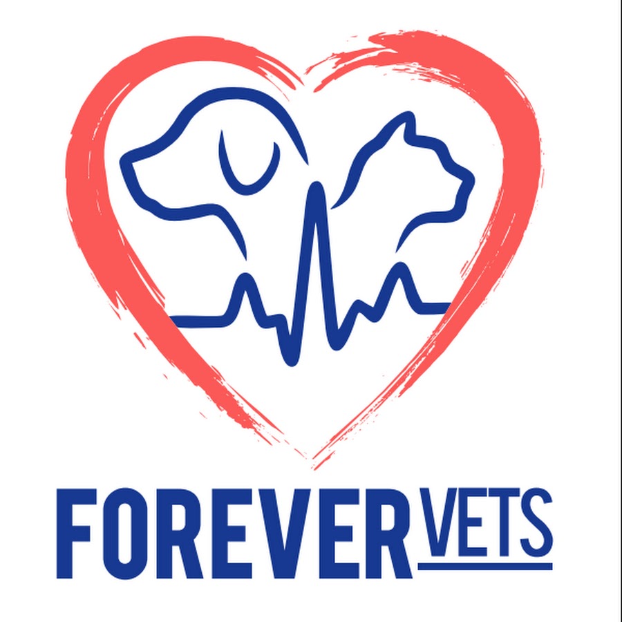 Forever Vets Animal Hospital YouTube