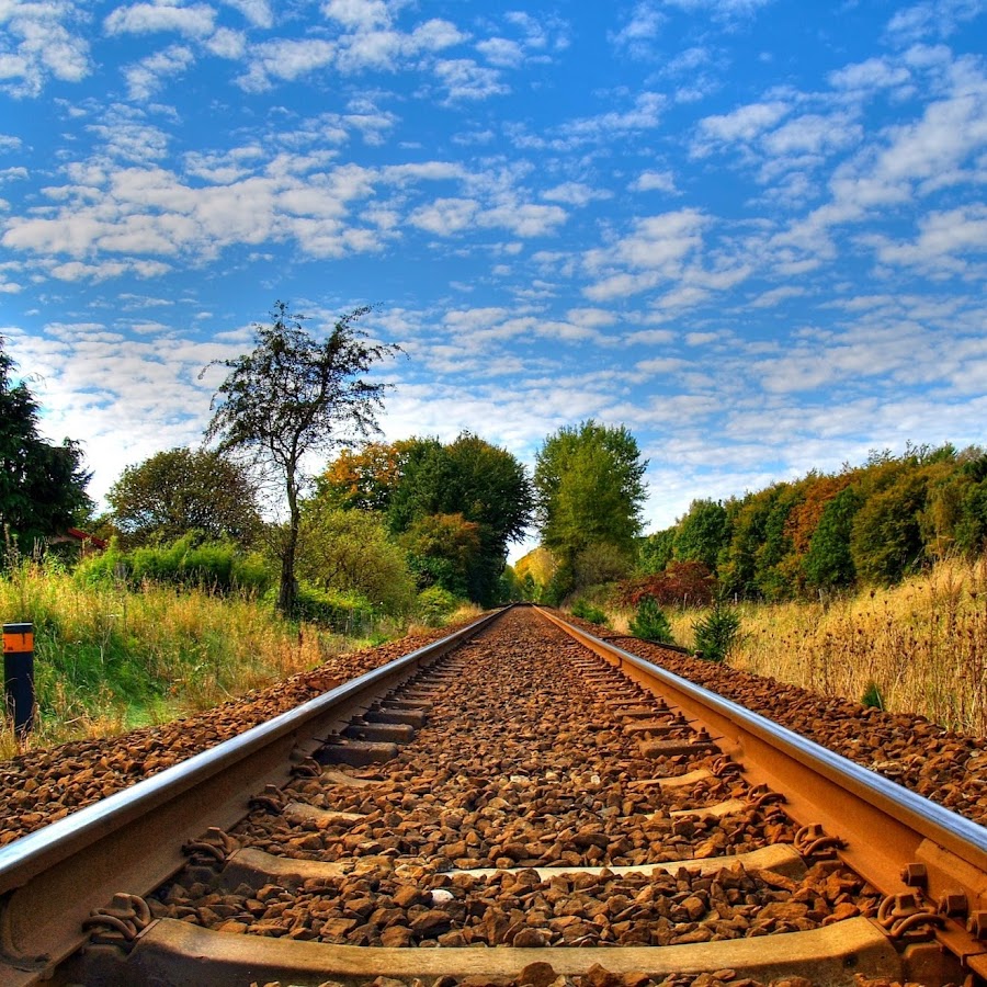 Железнодорожная тематика. Железная дорога летом. ЖД пути лето. Железная дорога баннер