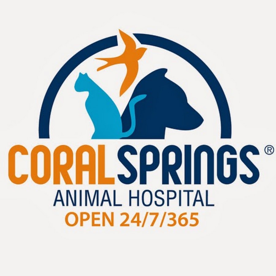 Coral Springs Animal Hospital YouTube