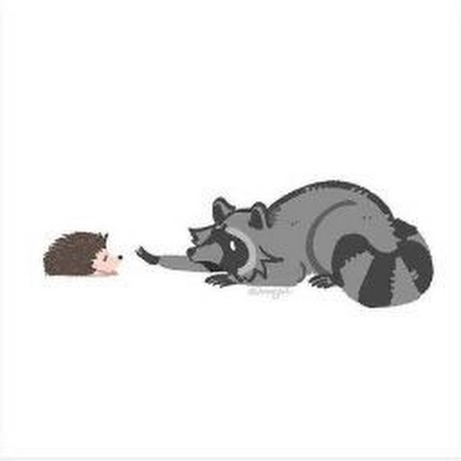 Енот с ежиком. Енот и еж. Енот и еж арты. Рисунки. Енот и ёж рисунок.