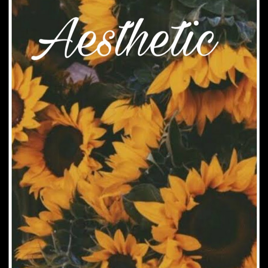 Aesthetic Colours - YouTube