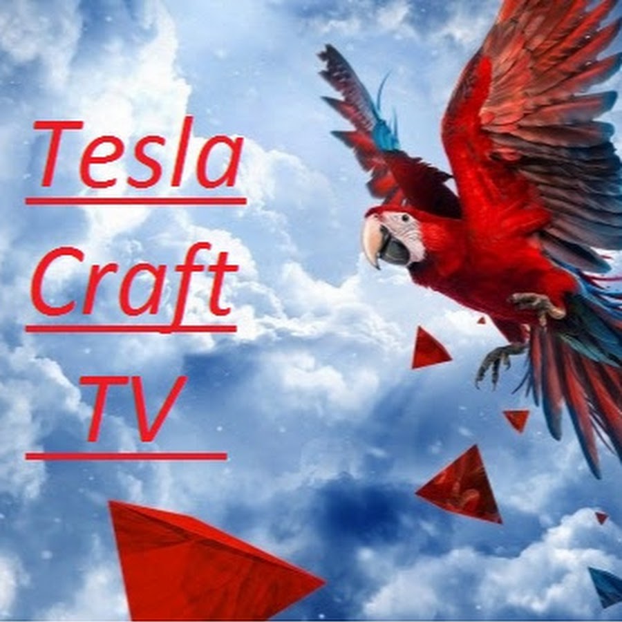 Tesla craft org айпи