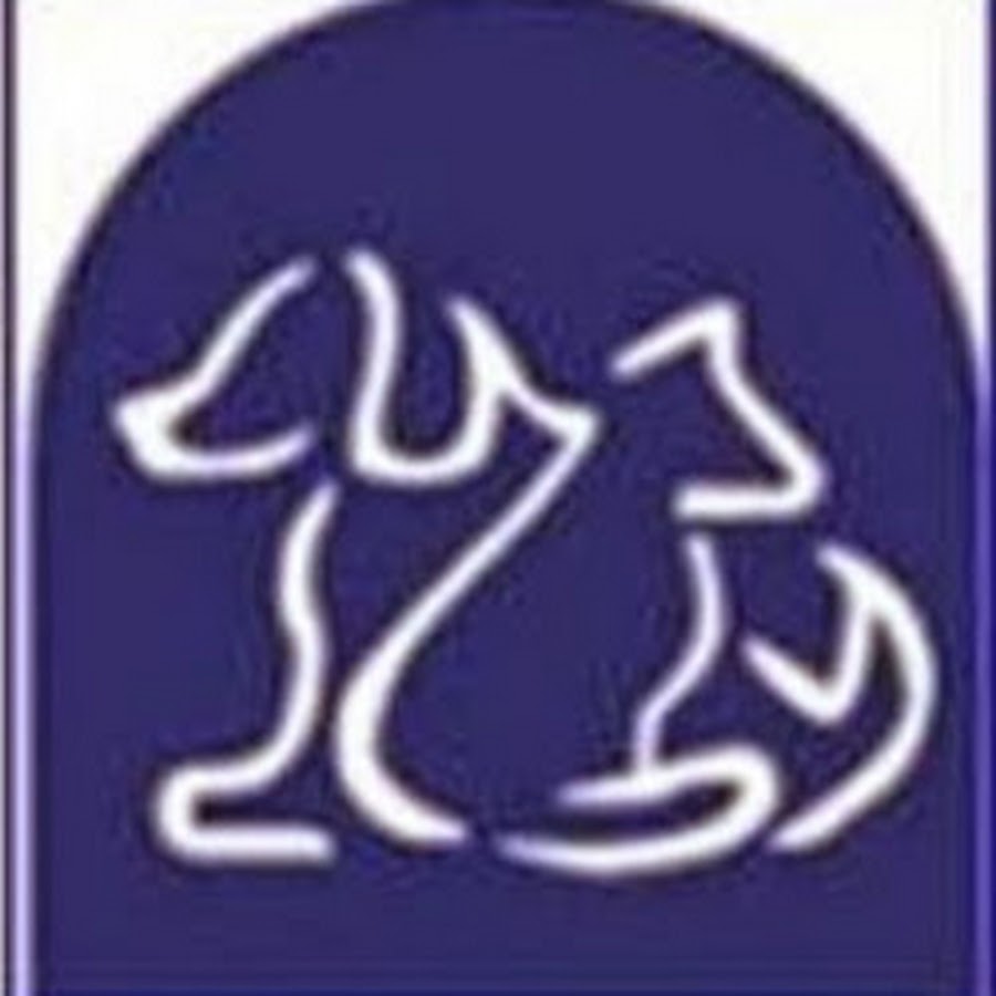 Belle Mead Animal Hospital YouTube