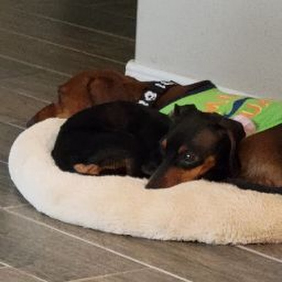 George Washingmachine - YouTube