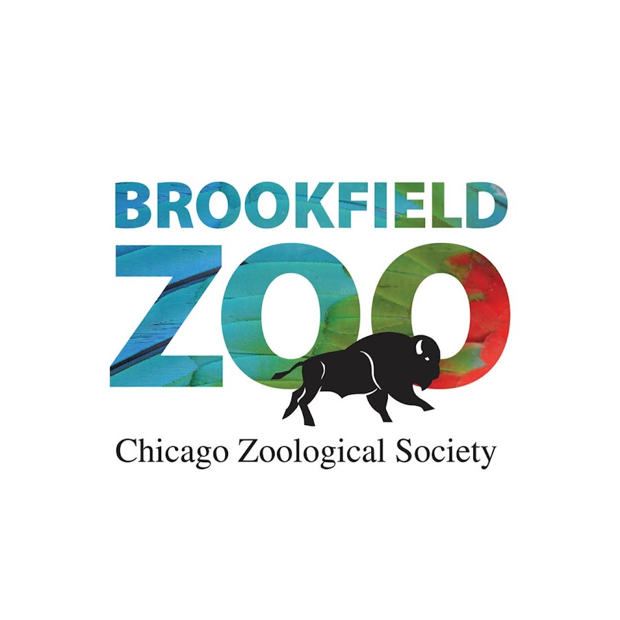 Brookfield Zoo YouTube