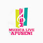 Muzica LIVE din Apuseni
