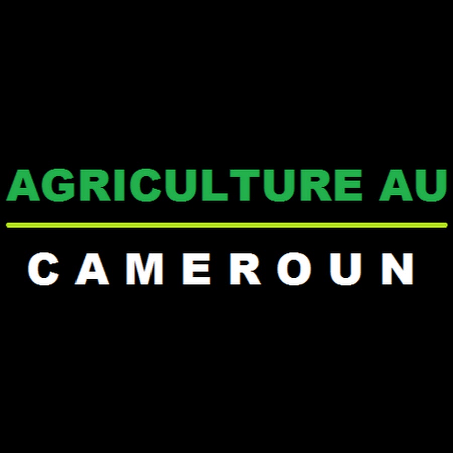 Agriculture Cameroun  YouTube