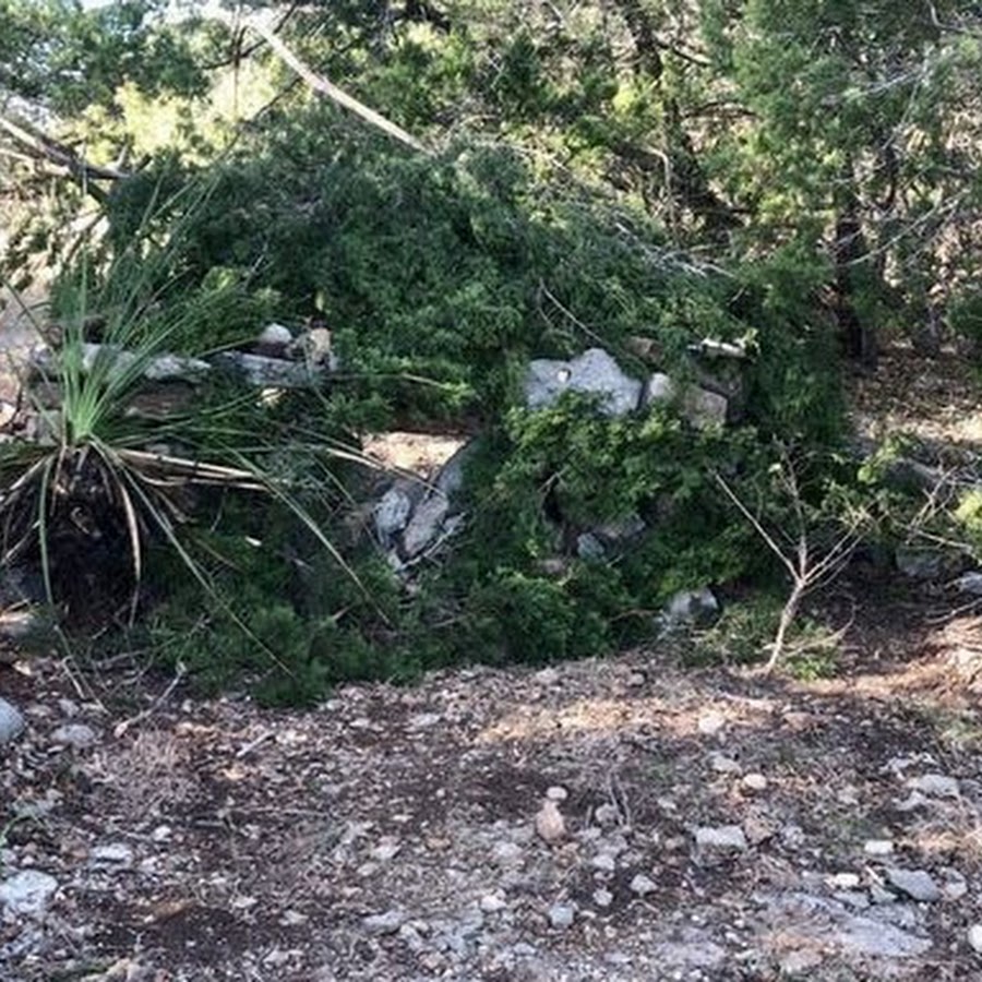 Arphaxad 101 YouTube