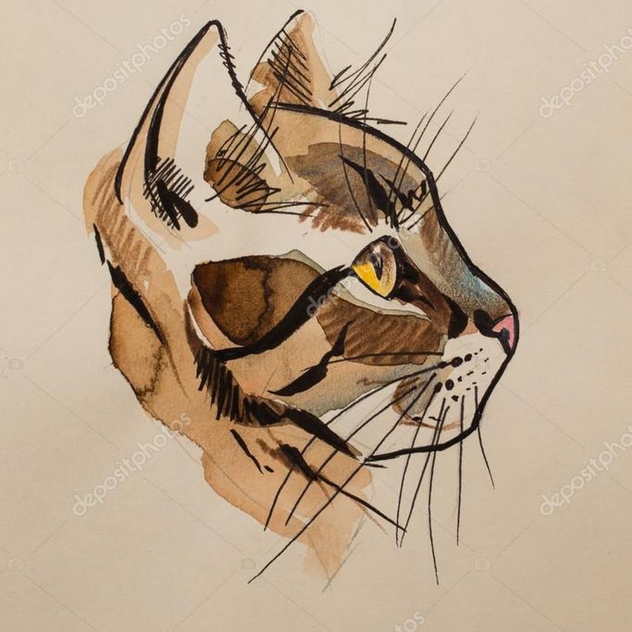 Морда кошки в профиль рисунок