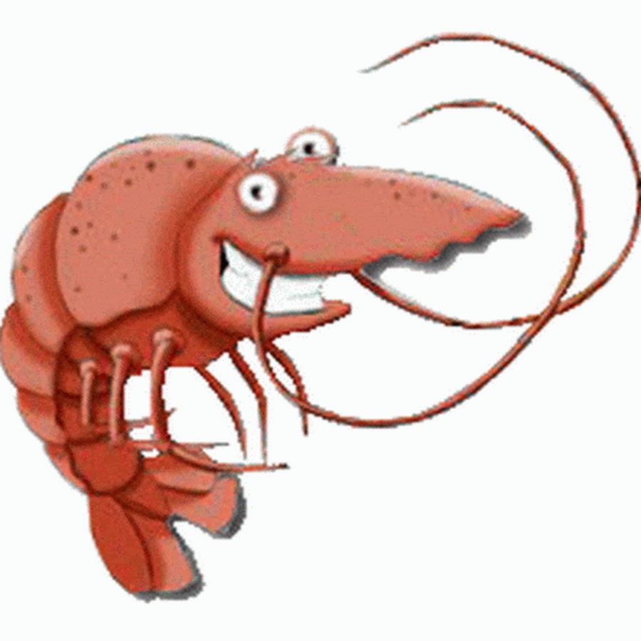 Tutorial Budidaya Vaname Intensif Plastik Mulsa 