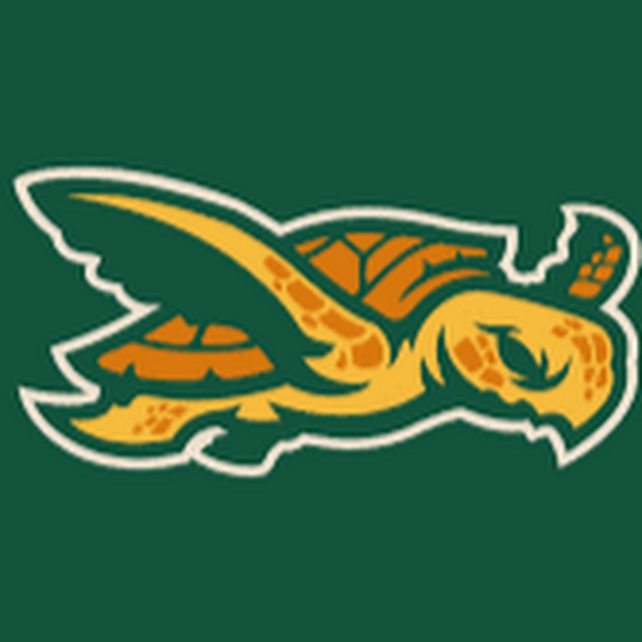 Эмблема спортивные дракончики. Gaming turtle. Gaming turtle. Gaming turtle. Черепашка оззи одиссея черепашки.