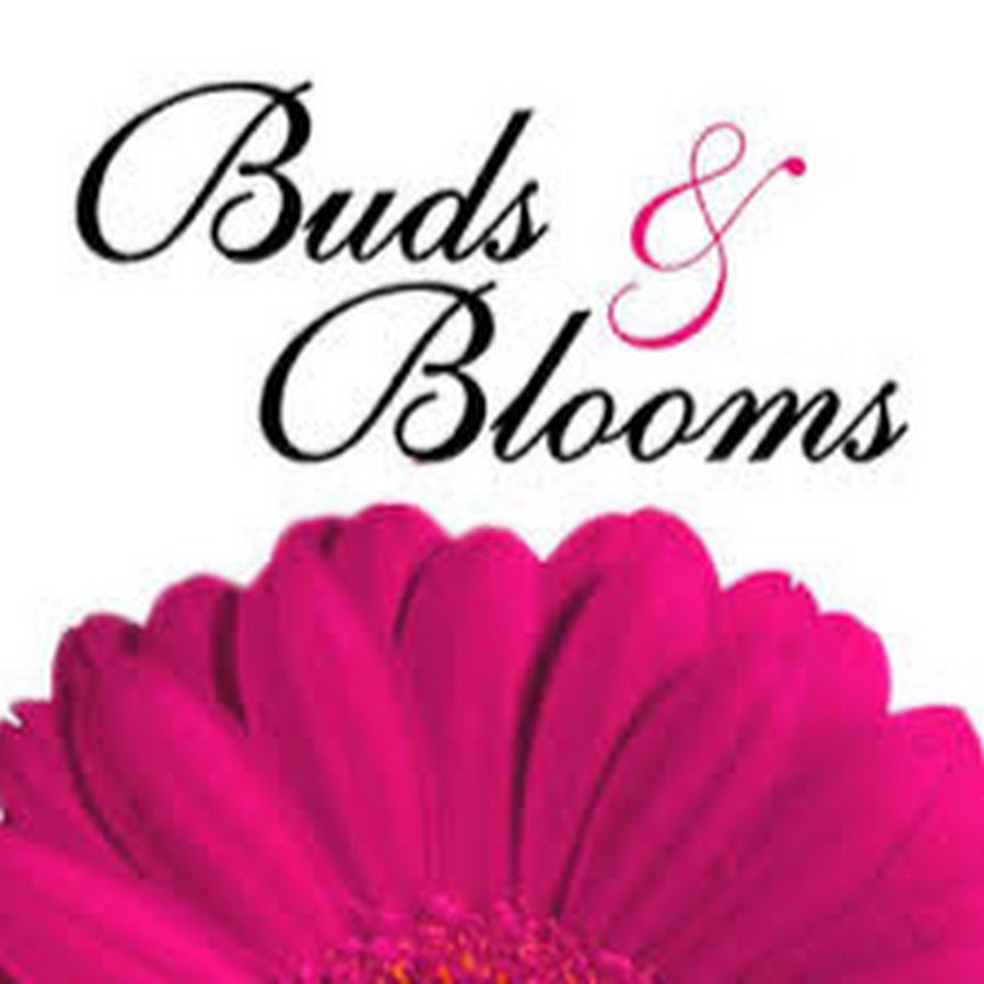 Blooms and Buds YouTube